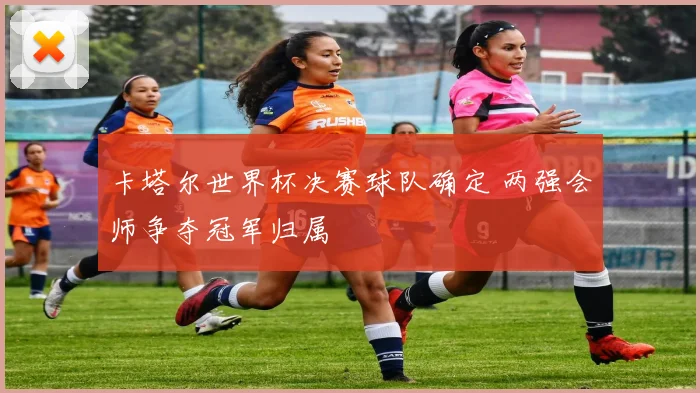 卡塔尔世界杯决赛球队确定 两强会师争夺冠军归属